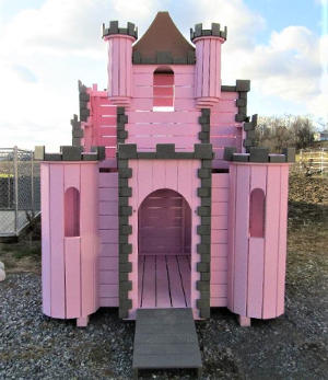 Kinzer princess castle