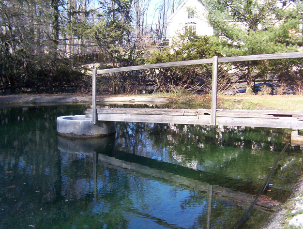 pedestrian footbridge