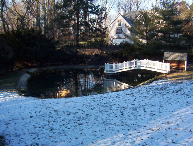 pedestrian footbridge