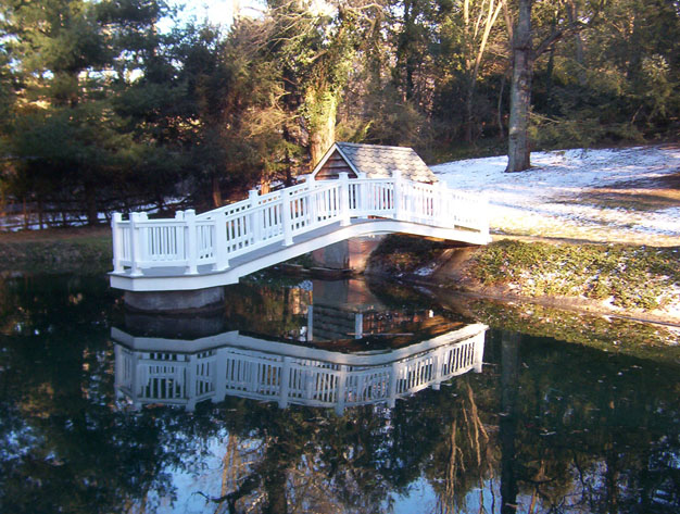 pedestrian footbridge