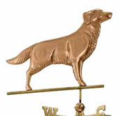 golden weathervane